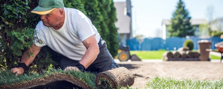 An insured landscaping specialist is laying down sod