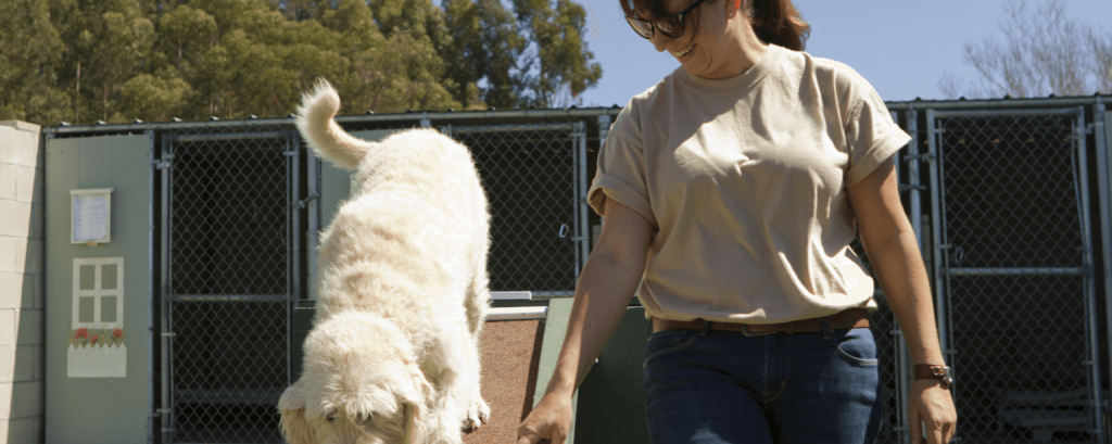 Pet trainer with a Pennsylvania business insurance 

