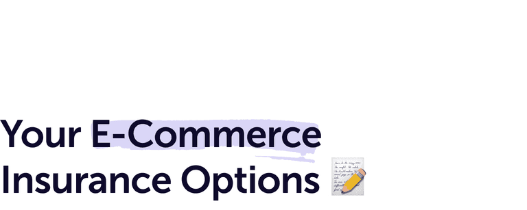 Image part of the page design saying “Your E-Commerce Insurance Options”