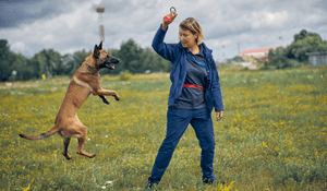 How to Become a Dog Trainer: Our Ultimate Step-by-Step Guide