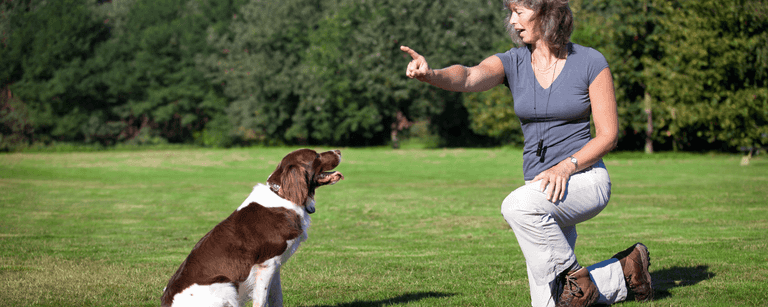 Dog trainer with dog