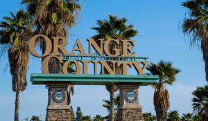 Orange County Business License Guide