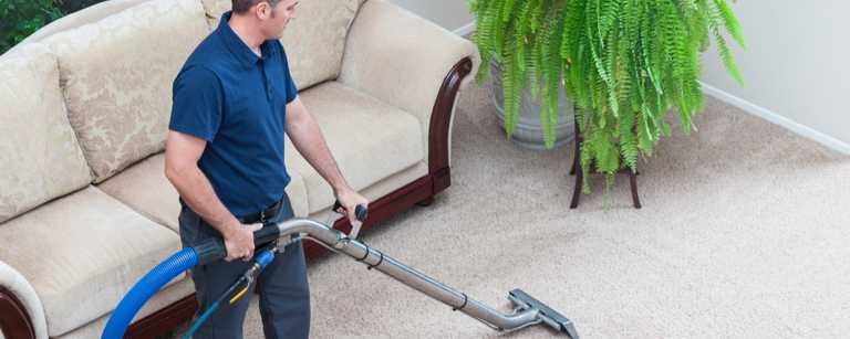 Carpet cleaner working in living room