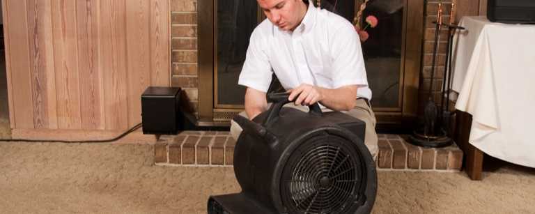 Carpet cleaner sets up fan