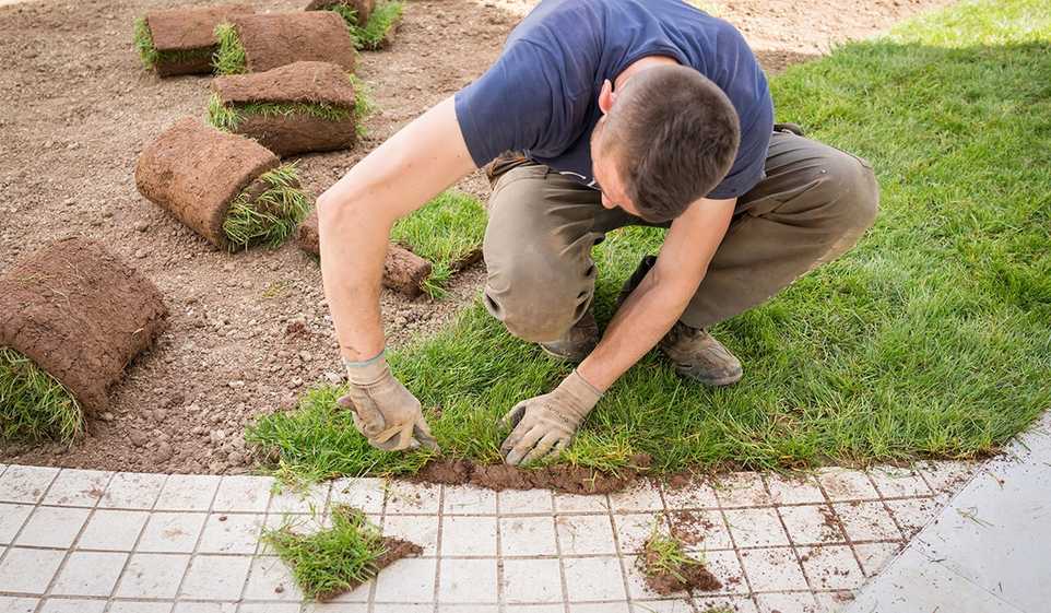 Buying landscaping insurance helps protect your business when you’re working on the job.