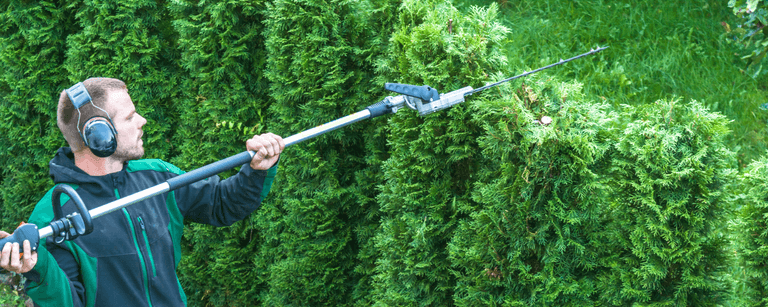 Landscaper trims hedges